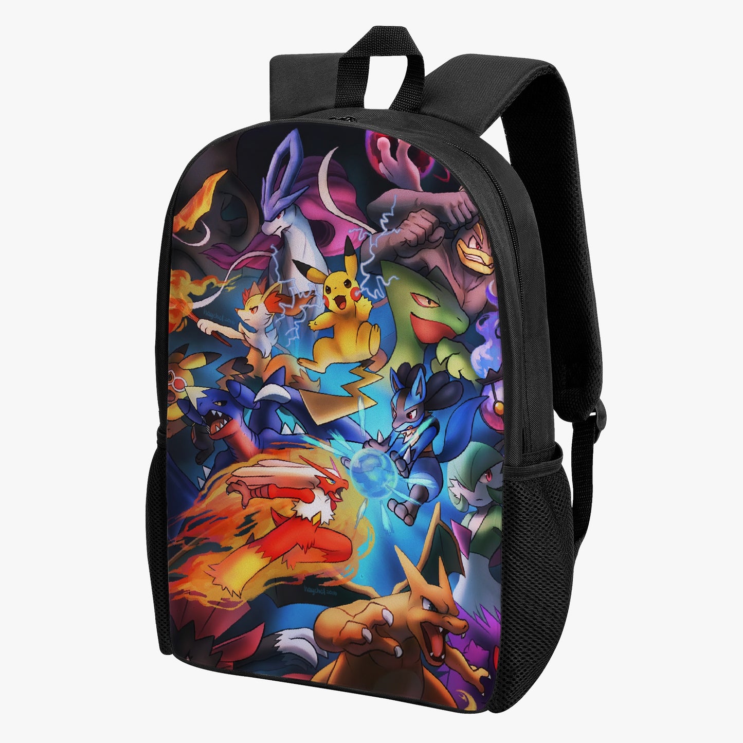 Pokemon backpack <br> Arena fight.