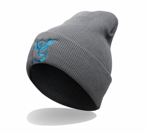 Team mystic beanie.