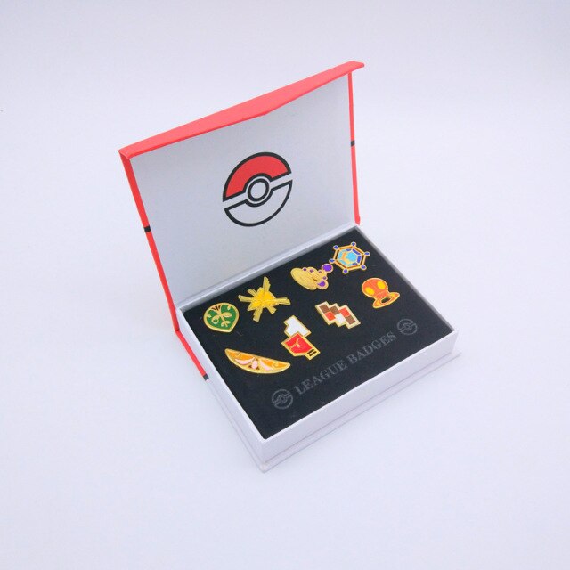 Kanto badge case.