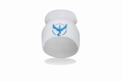 Pokemon go valor beanie