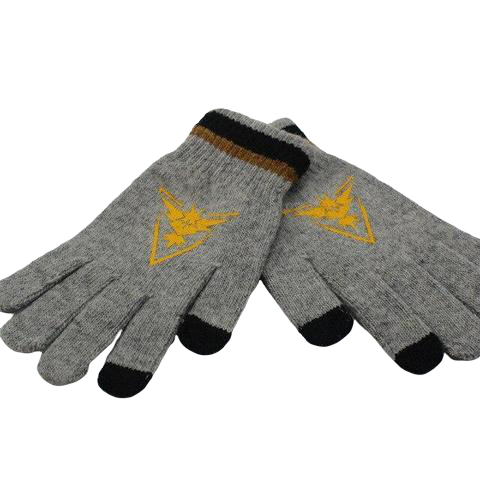 Instinct Team gloves.